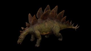 Stegosaurus  Stego Dinosaur ShortVer [upl. by Kusin]