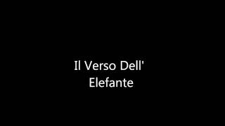 Il Verso DellElefante Video Interattivo [upl. by Verlie919]