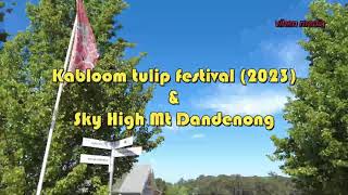 kabloom tulip festival 2023 amp skyhigh mt dandenong [upl. by Hebe]