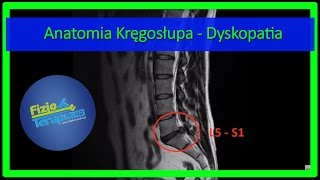 Anatomia Kręgosłupa  Dyskopatia 4 FizjoTerapia HD [upl. by Kris]