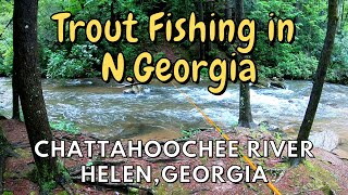 Trout Fishing in North Georgia  Small Streams and the Chattahoochee RiverHelen GA [upl. by Grimona]