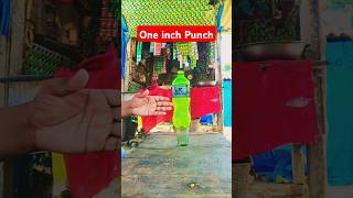 One inch Punch brucelee punch martialarts shorts [upl. by Ahseekal]