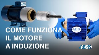 MOTORE ASINCRONO TRIFASE o MOTORE A INDUZIONE  smontaggio e spiegazione del suo funzionamento [upl. by Aremat746]