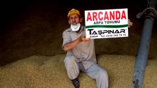 Arcanda Arpa Tohumu YouTube 3 [upl. by Oemor]