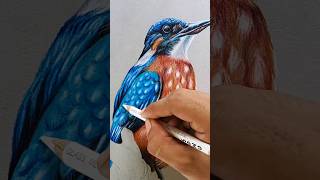 Beautiful bird 🐦 kingfisher drawing shorts youtubeshorts art [upl. by Atiuqaj901]