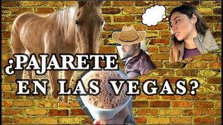 VLOG 51 COMO PREPARAR UN PAJARETE EN LAS VEGAS [upl. by Weiser]