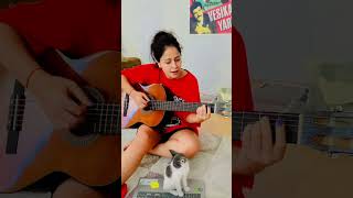 Üstüme Basıp GeçmeGökhan Kırdar Cover gökhankırdar cats guitar gitar [upl. by Yenruoc]