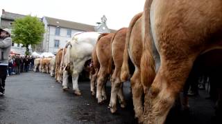 Fête du fin gras 2016 à Fay sur Lignon [upl. by Alane]