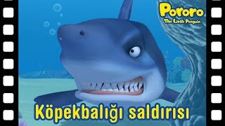 Köpekbalığı şaldırışı  Kısa film animasyon  Pororo türkçe  Pororo turkish [upl. by Ynnig]