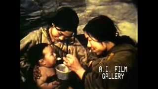 Angotee follows life of a boy in the Eastern Arctic 1954 [upl. by Leopoldine]