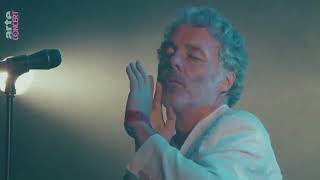 Baxter Dury  Im Not Your Dog Subtitulado [upl. by Ilise]