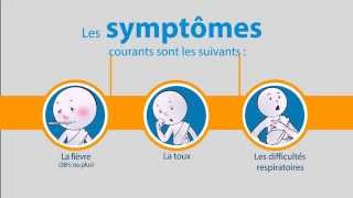 OMS Coronavirus du syndrome respiratoire du MoyenOrient [upl. by Studner851]