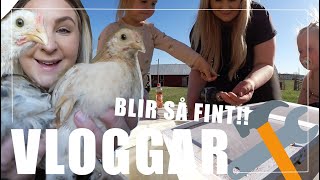 BYGGER FINT AV SKROT 🛠  VLOGG 329 [upl. by Yoccm499]