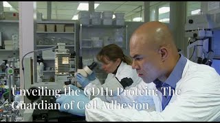 Unveiling the CDH1 Protein The Guardian of Cell Adhesion [upl. by Eecal]