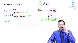 anticancerMonoclonal Antibodies by Dr govind rai garg video lec 3 [upl. by Ssidnak]