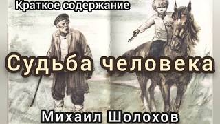 Краткое содержание Судьба человека Шолохов М А Пересказ рассказа за 10 минут  Хамид Гаджиагаев [upl. by Rodgiva]