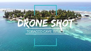 Drone view of Tobacco Caye in Belize [upl. by Gonyea]