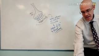 The Steps of Skeletal Muscle Contraction [upl. by Barker]