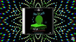 Track 6 Yababay יאבאביי  Koach Hayisraeli  Sruly Green  TYH Nation [upl. by Nimrahc297]