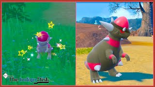 Live Shiny Cranidos  Shiny Rampardos Evolution The Indigo Disk Pokemon Scarlet [upl. by Fenelia]