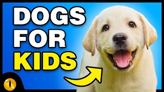 TOP 10 BEST DOG BREEDS FOR KIDS [upl. by Shabbir432]