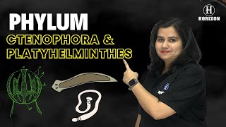 Phylum Ctenophora amp Platyhelminthes neet2024  Biology  Shraddha srivastava  Horizon Academy [upl. by Sucramel]