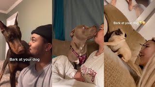 bark at your dog  tiktok compilation [upl. by Peters376]