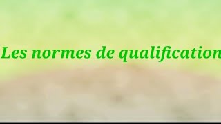 Partie 2  les normes de qualification [upl. by Onabru]