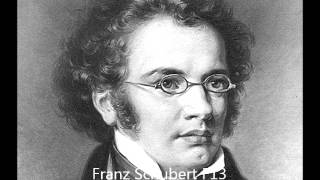 Schubert quotNähe des Geliebtenquot D 162 Goethe Elisabeth Schumann [upl. by Anum]