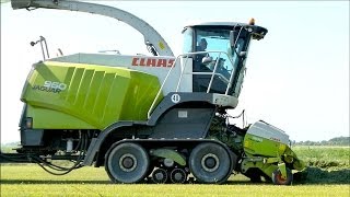 Claas Jaguar 960 Terra Trac  Bunker forage harvester  Lucerne Harvest  Hartog Abbekerk [upl. by Holsworth]