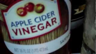 Apple Cider VinegarWeight LossArthritisWart Removal and more [upl. by Egreog696]