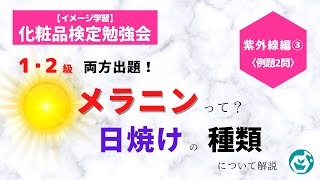 紫外線編③【イメージ学習】〈化粧品検定勉強会〉メラニンって？日焼けの種類について解説 [upl. by Ajile]