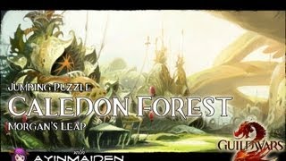 Guild Wars 2  Jumping Puzzle  Caledon Forest Morgans Leap [upl. by Sada]