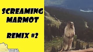 Screaming Marmot  Remix Compilation 2 [upl. by Nylaroc]