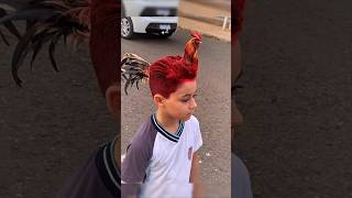 Man transforms into a real Rooster 🐓 in AGT Americas got talent 😱😂 Duo SchumacherAGTmagic [upl. by Lierbag11]