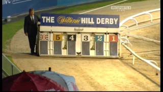 Greyhound Derby Final 2010 [upl. by Ycrep645]