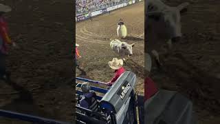 Could not get out to ride the bull preston night rodeo [upl. by Ileray192]