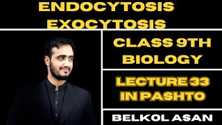 Endocytosis and Exocytosis Explained By Basharat Ali  Class 9th Biology [upl. by Llirpa939]