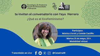 YAYO HERRERO ¿Qué es el Ecofeminismo [upl. by Gebelein753]