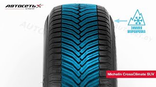 Обзор всесезонной шины Michelin CrossClimate SUV ● Автосеть ● [upl. by Keraj205]