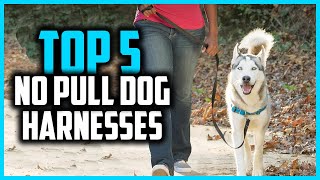 ✅Top 5 Best No Pull Dog Harnesses Review 2024 [upl. by Ahsead]