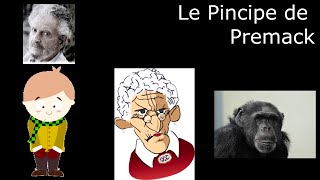 QE 7 Quand la friandise ne suffit pas  le principe de Premack [upl. by Florance]