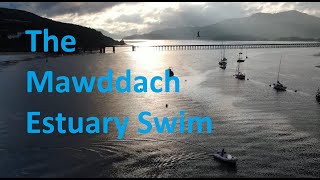 Mawddach Estuary Swim July 2024 [upl. by Persis]