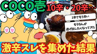 【2ch面白いスレ】ココイチで激辛挑戦…しまくった結果…【飯テロ】 [upl. by Garreth]