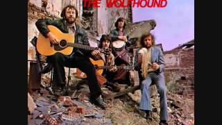 The Wolfhound  Whiskey In The Jar [upl. by Attiuqram]