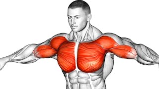 The Best Chest Workout Guide To Build A Massive Pec [upl. by Aileve]