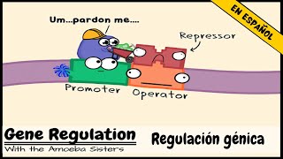 Regulación génica y el orden del operón [upl. by Christoffer]