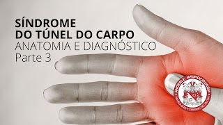 Síndrome do Túnel do Carpo  Anatomia e Diagnóstico  Parte 3  Dr Diogo [upl. by Dal]