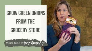 How to Regrow Green Onions from Pearl Onions [upl. by Nysila689]