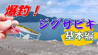 【爆釣！】市販のジグサビキ仕掛けを防波堤からブッ込んでみました！こんな基本的な釣り方で超美味しい魚が入れ食い状態になりました。。コスパ最強です！！【釣り方解説】 [upl. by Emyam]